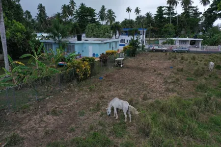 Private Beach House, 4Br, Saltwater Pool