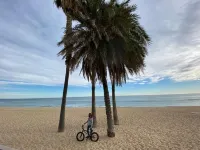 Lemon Tree Guest House