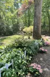 Colonial Gardens B & B