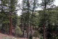 Fawn Valley Inn- 106 Condo