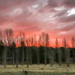 Clansman Motel Hotels in Glen Innes