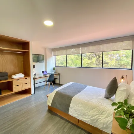 Bonsai Second Home