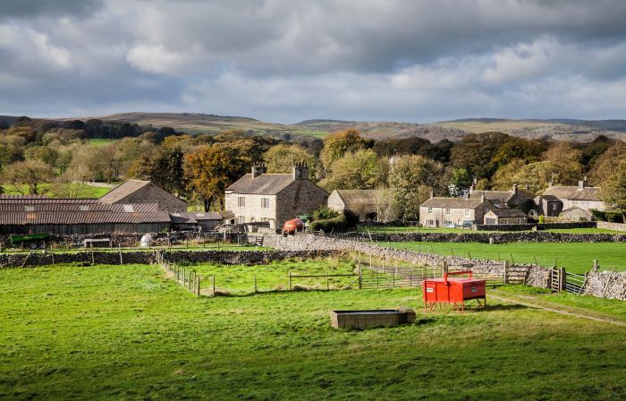 Linton Laithe