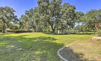 Pet-Friendly Home Close to Wec Ocala! - Housity