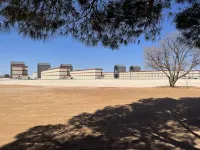 The Armadillo Hotel