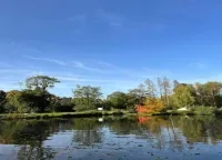 Charming Stay in Viroinval