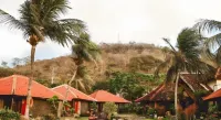 Watu Dodol Hotel Hotel di Wongsorejo