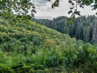 Forest Park Lodge Hotels in Umberleigh