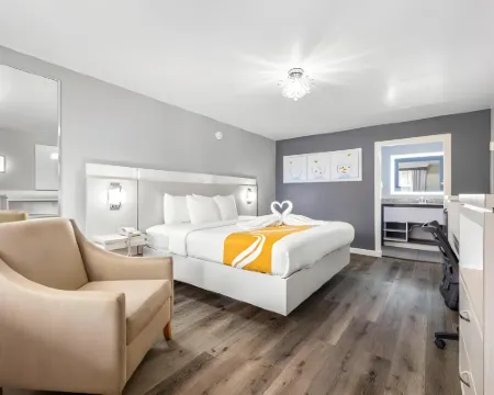 Quality Inn and Conference Center Tampa-Brandon Hotels in Tampa