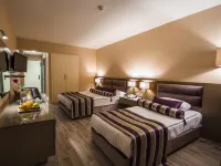 Y Hotel