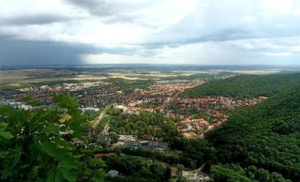 Apartment in Falkenstein Near Ski Runs