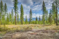 Secluded Cabin w/ Mtn Views ~ 33 Mi to Bigfork! - Parkering