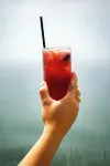 The Lakeside Motel & Restaurant - بار
