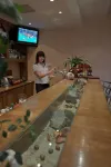 Hotel Redyk Ski&Relax - bar