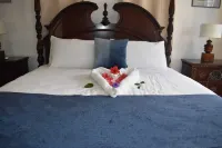 Charming 1-bedroom villa in wonderful South Hill with AC, WiFi Hotels in George Hill