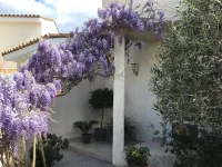 Apartment in a haven of peace 10 mm from the Mediterranean Sea.