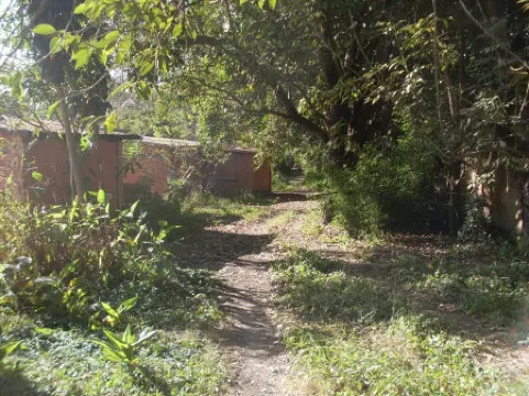 Bungalow Dowtown in a Park With Lake, Birdwatch Отели рядом с достопримечательностью «Рува»