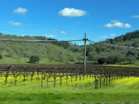 Napa Valley Downtown Apartment – Walkable Location, 31+Day Stays