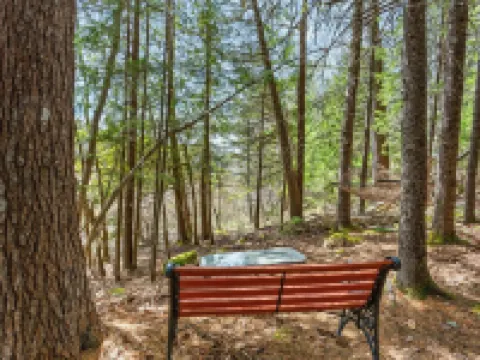 Tranquil View Cottage & Cabin, Pet Friendly with Wifi Hotels in Mt Desert