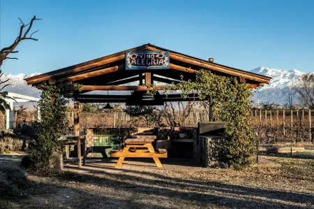 Casa Alegria_3 bedroom with pool in Valle de Uco, Mendoza