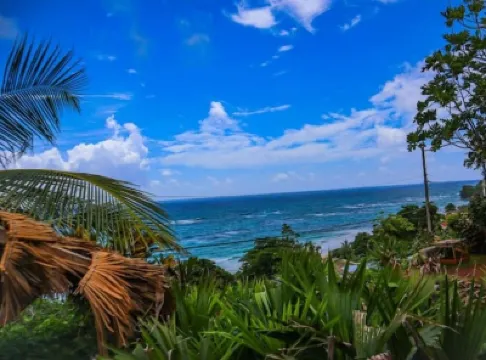 Rasta Villa B&B Hotel a 