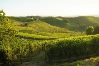 Elegance and relaxation in the Langhe, Italy