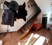 At 710 m. and 60 km from the sea Nordik Walking and Bouldering surrounded by nature.