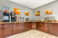 Comfort Inn & Suites Saint Louis Lafayette Square - Morgenmad