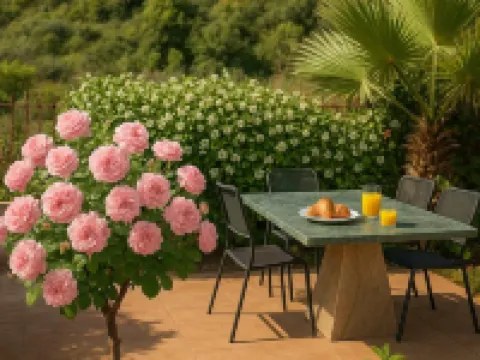Villa Armonia - Beachfront Majestic Retreat Hotels in Petalidi