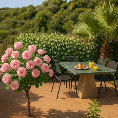 Villa Armonia - Beachfront Majestic Retreat Отели рядом с достопримечательностью «Rimon Reza»