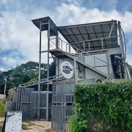 Capsule Pupa House