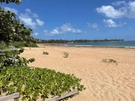 Penthouse By The Beach