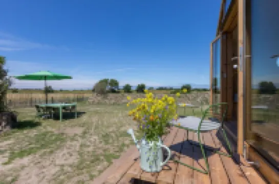 Superb Apartment Near the Beach in Vrouwenpolder