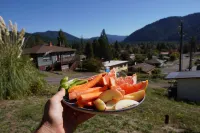 Panoramic View 2br on Hill in Uptown Oakridge