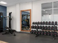 皮茨伯勒希爾頓歡朋套房酒店 查塔姆縣酒店