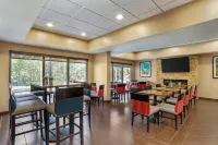 舒適套房飯店-塔拉哈西市區