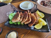 katafigio seli Hotels in Veria