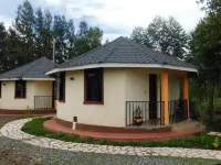 Havencrest cottages Rodi Kopany Hotels in 