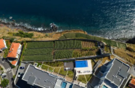 홀리데이 렌탈 마데이라의 펄 리트리트