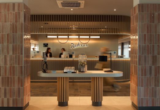 라디슨 호텔 현대적 객실