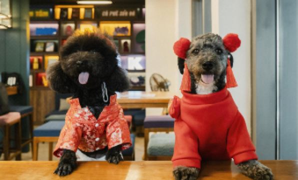 Wink Hai Phong Centre, Unscripted by Hyatt - 24 Hours stay