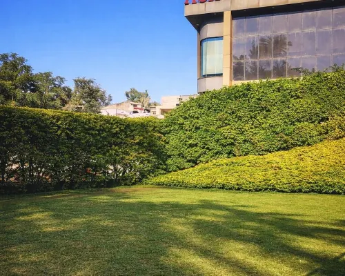 Hotel Ashoka Mount Abu Hotels in Mount Abu