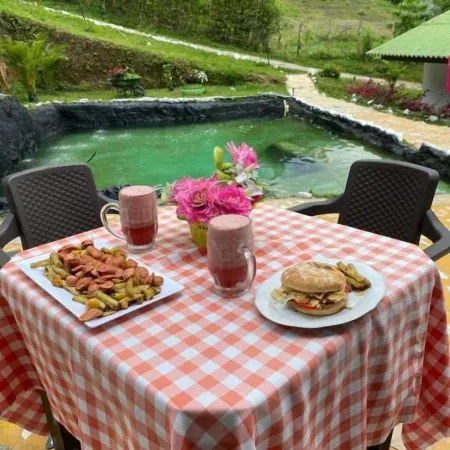 Hotel Glamping Horse