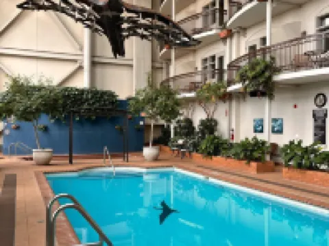 Hotel l'Oie des Neiges Hotels in Levis