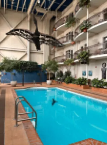 Hotel l'Oie des Neiges