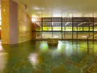 Ooedo Onsen Monogatari Hotel Shinko