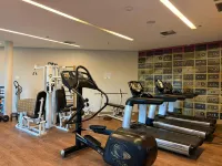 Ibis Styles Taubate - Gym