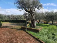 Casa Di Donato - Intera Villa con 8 posti letto Hotel a Ceppaloni