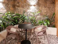Maré Bucerías - Hotel & Apartmets Hotels in Bucerias