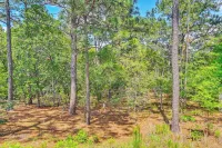 Stay & Play! Pinehurst Family & Group Golf Retreat - Wifi